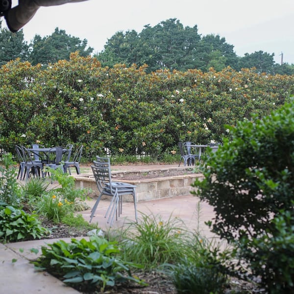 Outdoor patio at Pizza Buzz with metal tables and chairs, surrounded by lush green foliage and trees.