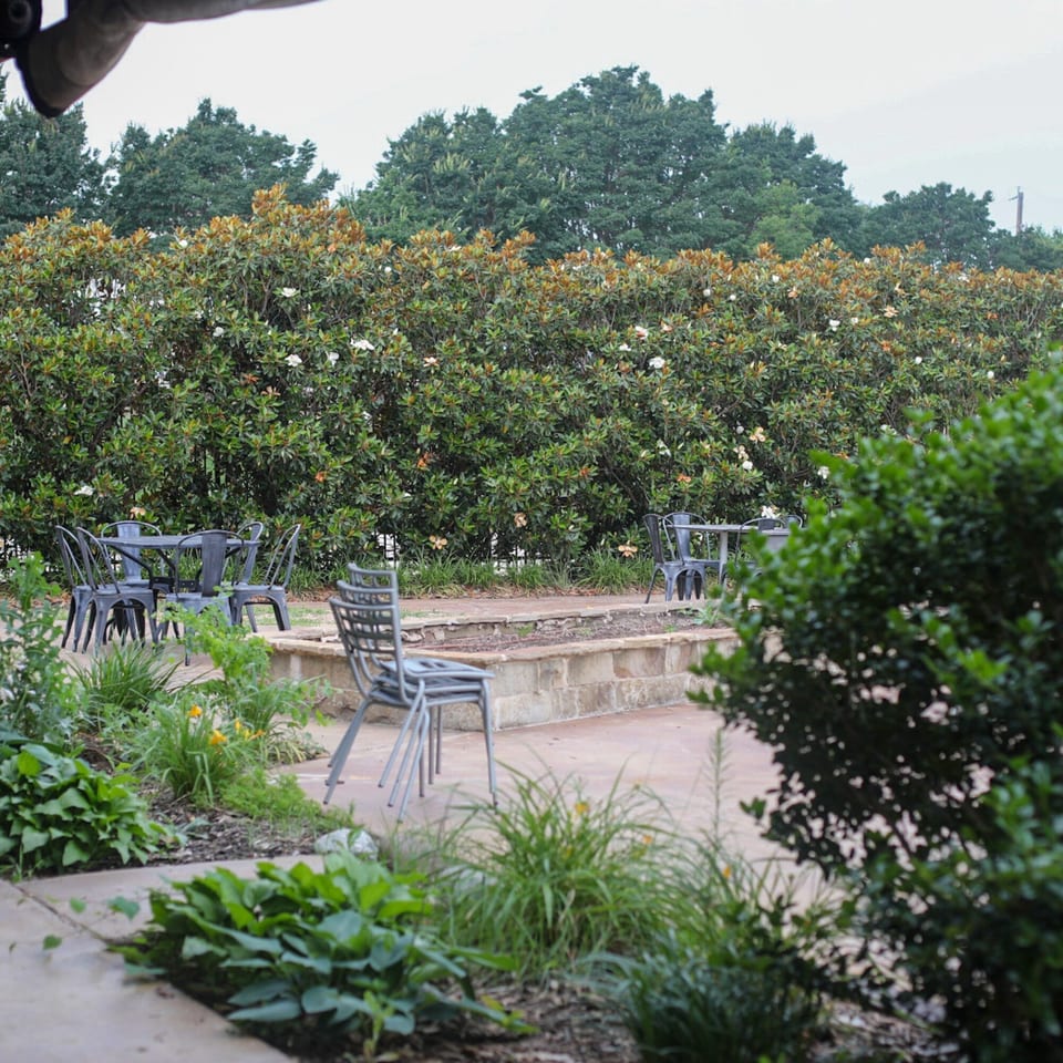 Outdoor patio at Pizza Buzz with metal tables and chairs, surrounded by lush green foliage and trees.